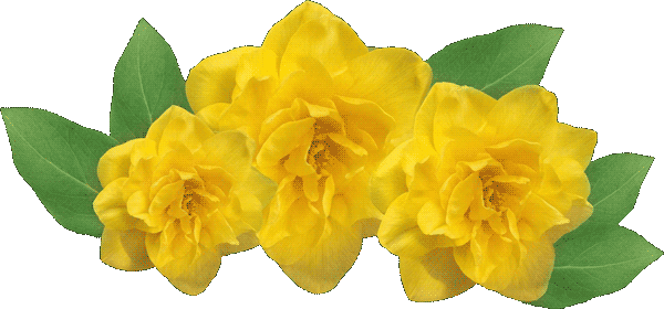 Blumendekoration
